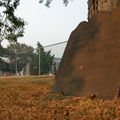 Alsop Family Cemetery