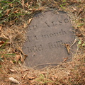Alsop Child Stillborn
