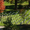 DSC02264.JPG