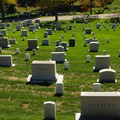 DSC02272.JPG