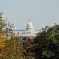 DSC02289.JPG