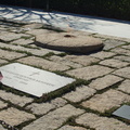 DSC02330.JPG