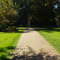 DSC02380.JPG