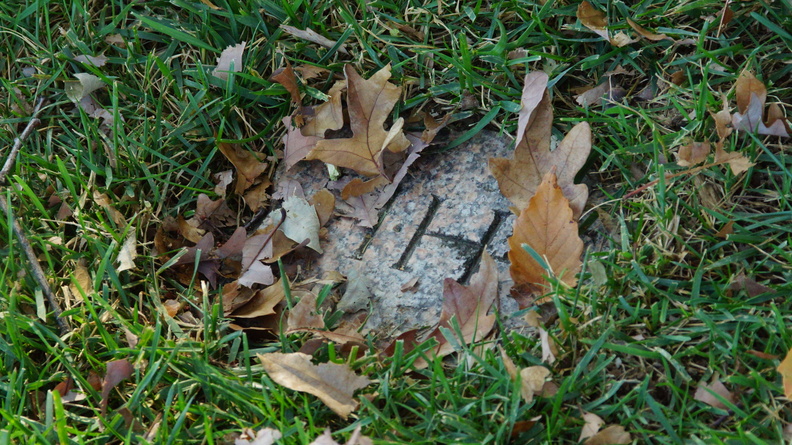 DSC02394.JPG