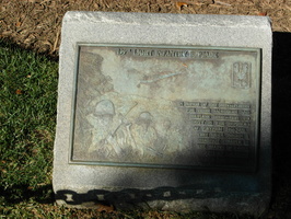 199th Light Infantry Brigade.