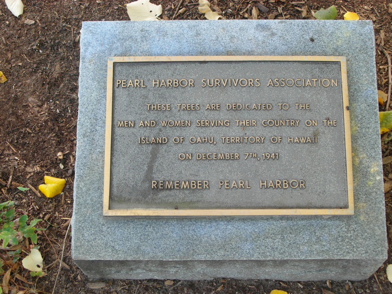 SAM_3825.JPG