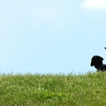DSCN2587