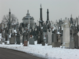 Calvary Cemetery, Queens, NYC