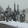 Calvary Cemetery, Queens, NYC