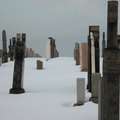 DSCN0749.JPG