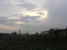 Calvary Cemetery, Queens, NYC
