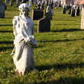 Calvary Cemetery, Queens, NYC