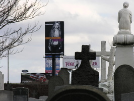 Calvary Cemetery, Queens, NYC