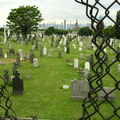 Calvary Cemetery, Queens, NYC