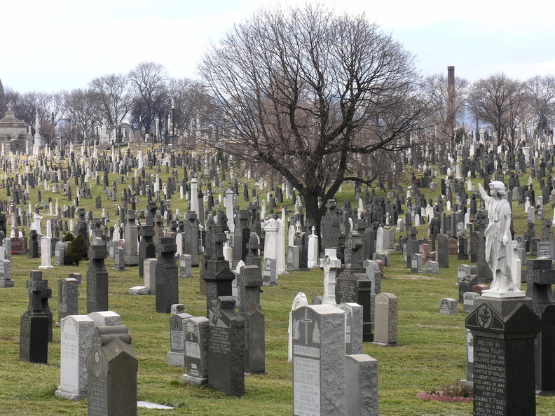 DSCN1859.JPG