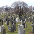 Calvary Cemetery, Queens, NYC