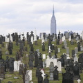 Calvary Cemetery, Queens, NYC