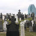 Calvary Cemetery, Queens, NYC
