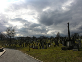 Calvary Cemetery, Queens, NYC