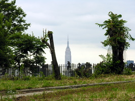 Calvary Cemetery, Queens, NYC