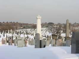 Calvary Cemetery, Queens, NYC