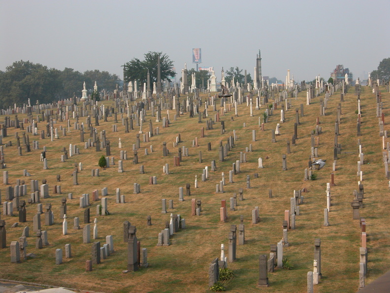 DSCN3776.JPG