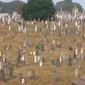 Calvary Cemetery, Queens, NYC