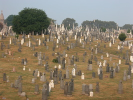 Calvary Cemetery, Queens, NYC