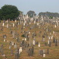 Calvary Cemetery, Queens, NYC