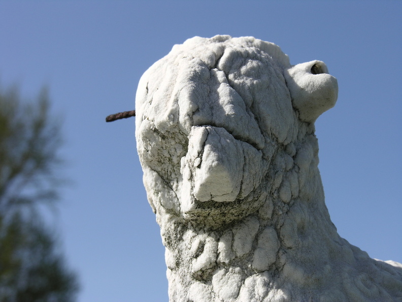 DSCN4888.JPG