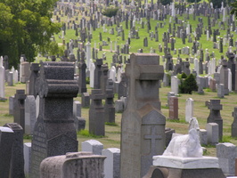 Calvary Cemetery, Queens, NYC