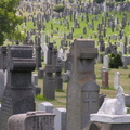 Calvary Cemetery, Queens, NYC