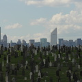 DSCN7175.JPG