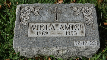 VIOLA AMICI