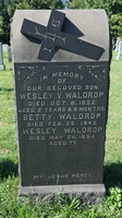 WALDROP