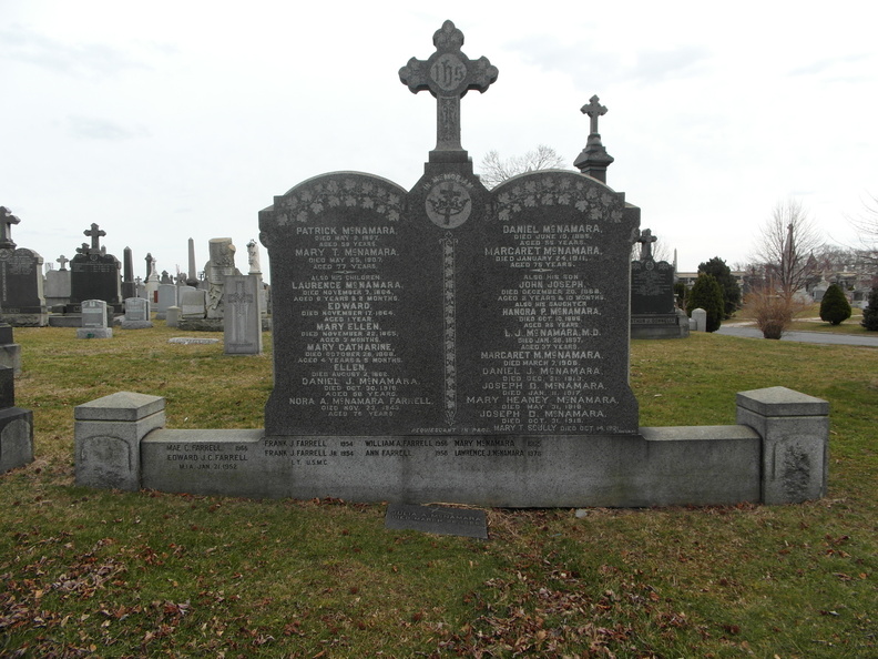 SAM_0638.JPG