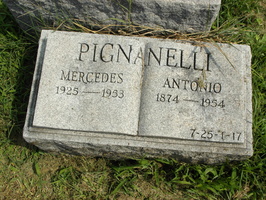 Mercedes &amp; Antonio Pignanelli