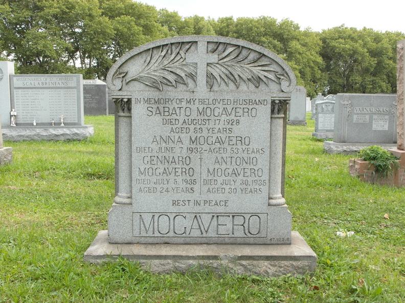 SAM_0995.JPG