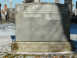 Calamari