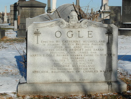 Ogle