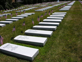 Civil War Project, Green-Wood Cemetery