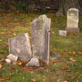 Ye Olde Coffey Grounds