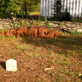 Ye Olde Coffey Grounds
