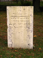 Levy Alger