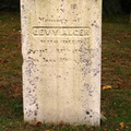 Levy Alger