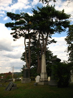 Ye Olde Coffey Grounds