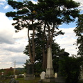 Ye Olde Coffey Grounds