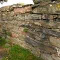 Ye Olde Coffey Grounds