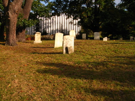 Ye Olde Coffey Grounds