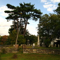 Ye Olde Coffey Grounds